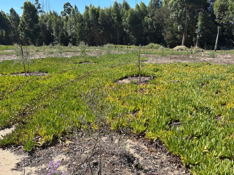 3 Bedroom Property for Sale in Twee Riviere Eastern Cape